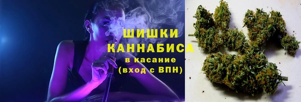 PSILOCYBIN Нея