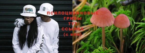 PSILOCYBIN Нея
