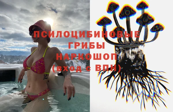 PSILOCYBIN Нея