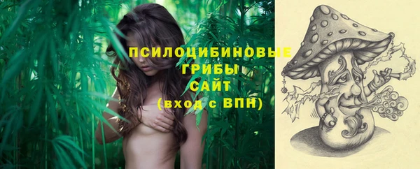 амф Нефтегорск