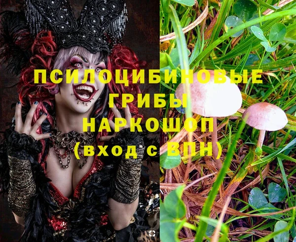 марки lsd Нефтекумск