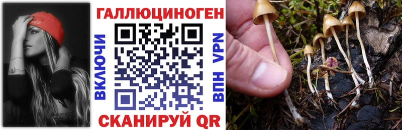 Галлюциногенные грибы мухоморы  Дзержинск 