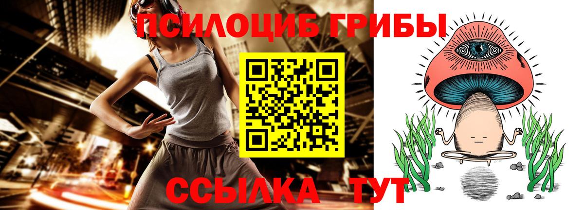 Галлюциногенные грибы Cubensis Дзержинск