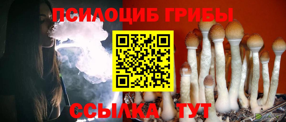 Псилоцибиновые грибы GOLDEN TEACHER  наркошоп  Дзержинск 